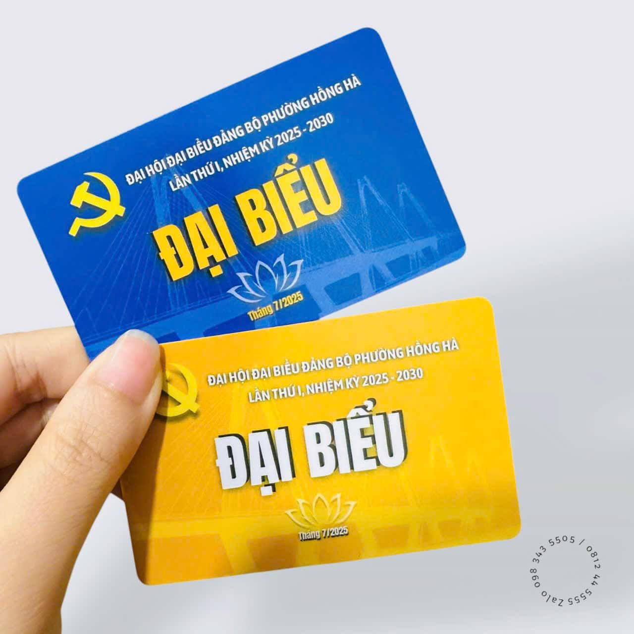 the dai bieu
